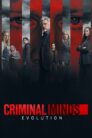 Criminal Minds burning series