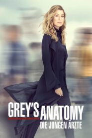Grey’s Anatomy burning series
