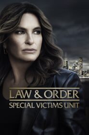 Law & Order: Special Victims Unit burning series