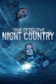 True Detective burning series