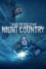 True Detective burning series